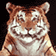 amur_1972